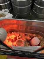 174BB238-552D-4D89-AABC-5B5E9E221FD3.jpeg