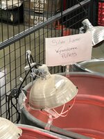 92E60FAA-5E91-4E21-B4C5-4AD5E371B604.jpeg