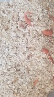 20190426_101311.jpg