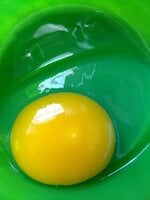 IMG_20190427_082945860.jpg