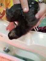 20190427_104449.jpg