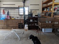 MVIMG_20190427_134826.jpg