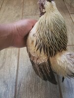 20190427_152636.jpg