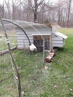 20190421_114152.jpg