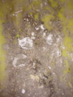 20190428_075616.jpg