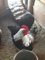 20190428_094739.jpg