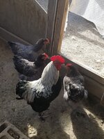 20190428_094420.jpg