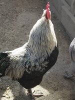 20190428_094305.jpg