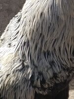 20190428_094253.jpg