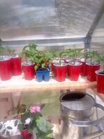 IMG_20190428_120137.jpg