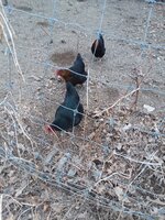 20190328_162928.jpg