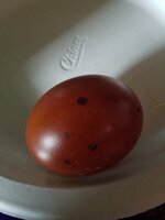 20190428_173620.jpg