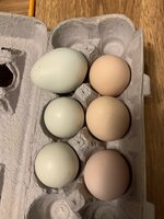 AB8288B0-509B-4B63-B188-D6AB611117CF.jpeg