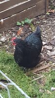 20181006_150525.jpg