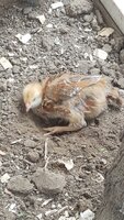 20190502_152731.jpg