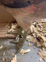 54BFC5D2-B2ED-4DBA-A374-88B56D363819.jpeg