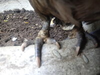 20190504_124846.jpg