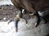 20190504_124845.jpg