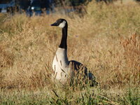 DSCN2693.JPG
