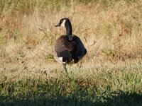 DSCN2694.JPG