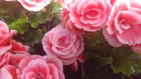 20190424_143214.jpg