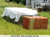 180629_125437.jpg