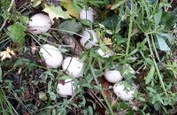 20190505_185759.jpg