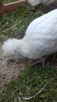 20190506_162534.jpg