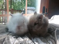 20190506_164842.jpg