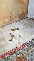 20190508_102138.jpg