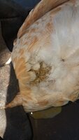 20190508_170459.jpg