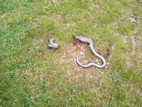 IMG_20190508_112738312.jpg