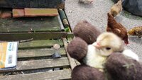 20190509_134423.jpg