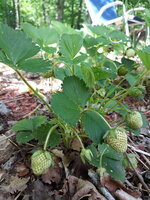 20190508_163128.jpg