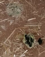 20190511_113001.jpg