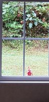 20180926_174140.jpg
