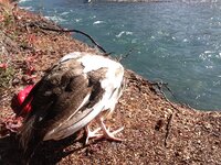 IMG_1438.JPG
