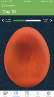 3612303B-C196-4E50-A34F-635EF5FD6212.png