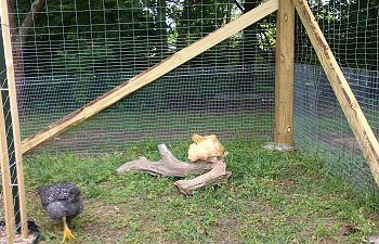 IMG_20190508_100244711.jpg