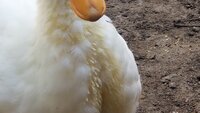 20190514_172741.jpg