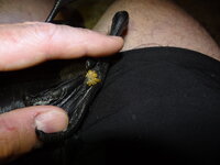 DSC08893.JPG
