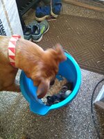 IMG_20190409_082851523.jpg