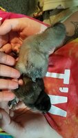 FB_IMG_1558096740222.jpg