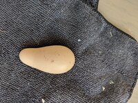 IMG_20190517_172845.jpg