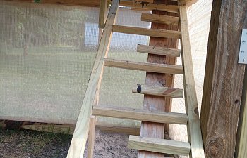 IMG_20190518_180304689.jpg