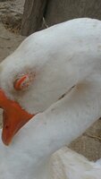 20190519_123535.jpg 20190519_123535.jpg