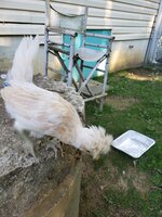 20190520_084448.jpg