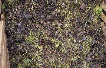 20190517_174909.jpg