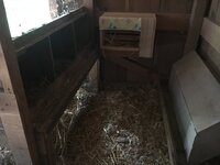 IMG_6872.jpg
