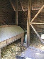 IMG_6874.jpg